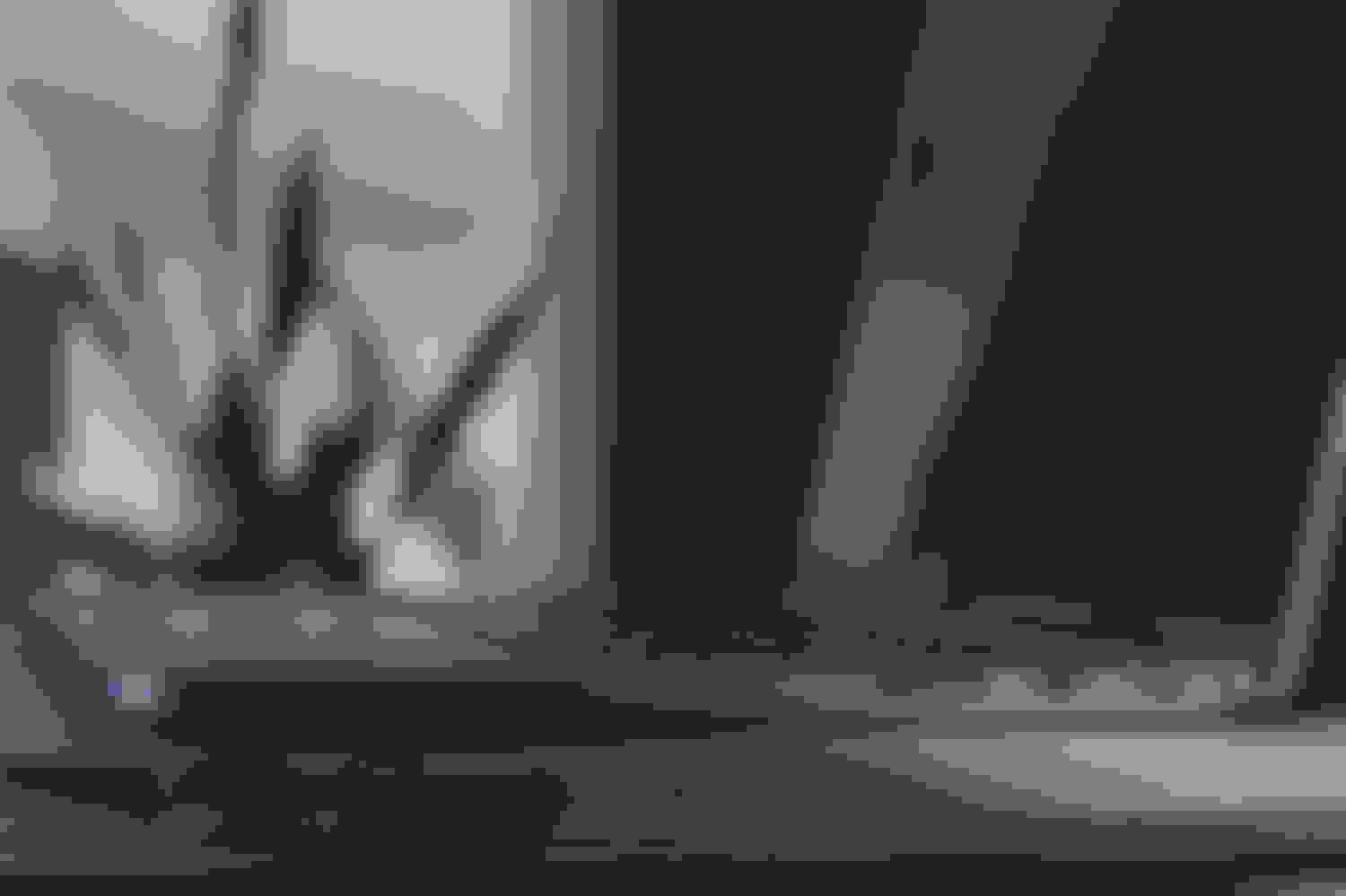 Event- og frivilligsystem